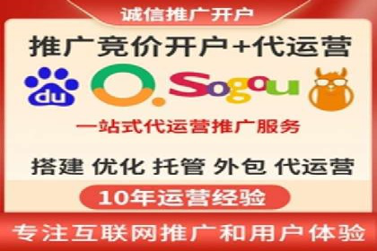 某企业选择SEM外包公司的决策与成果展示